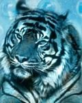 pic for Za blue tiger